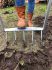 GUERILU 5-prong spading fork